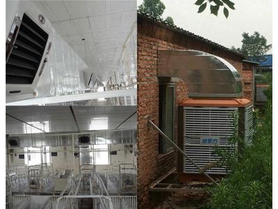 養(yǎng)豬場(chǎng)降溫通風(fēng)方案