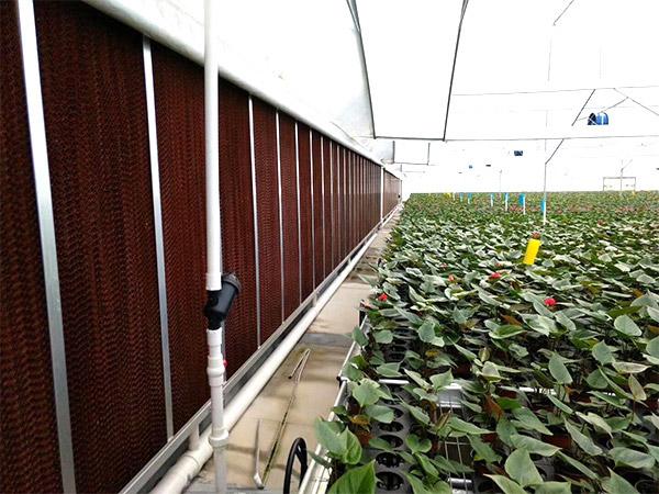 什么是水簾風(fēng)機(jī)？